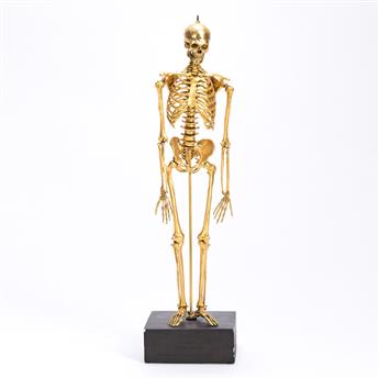 Winters, Stanley (circa 1950) Articulated Male Skeleton Model.